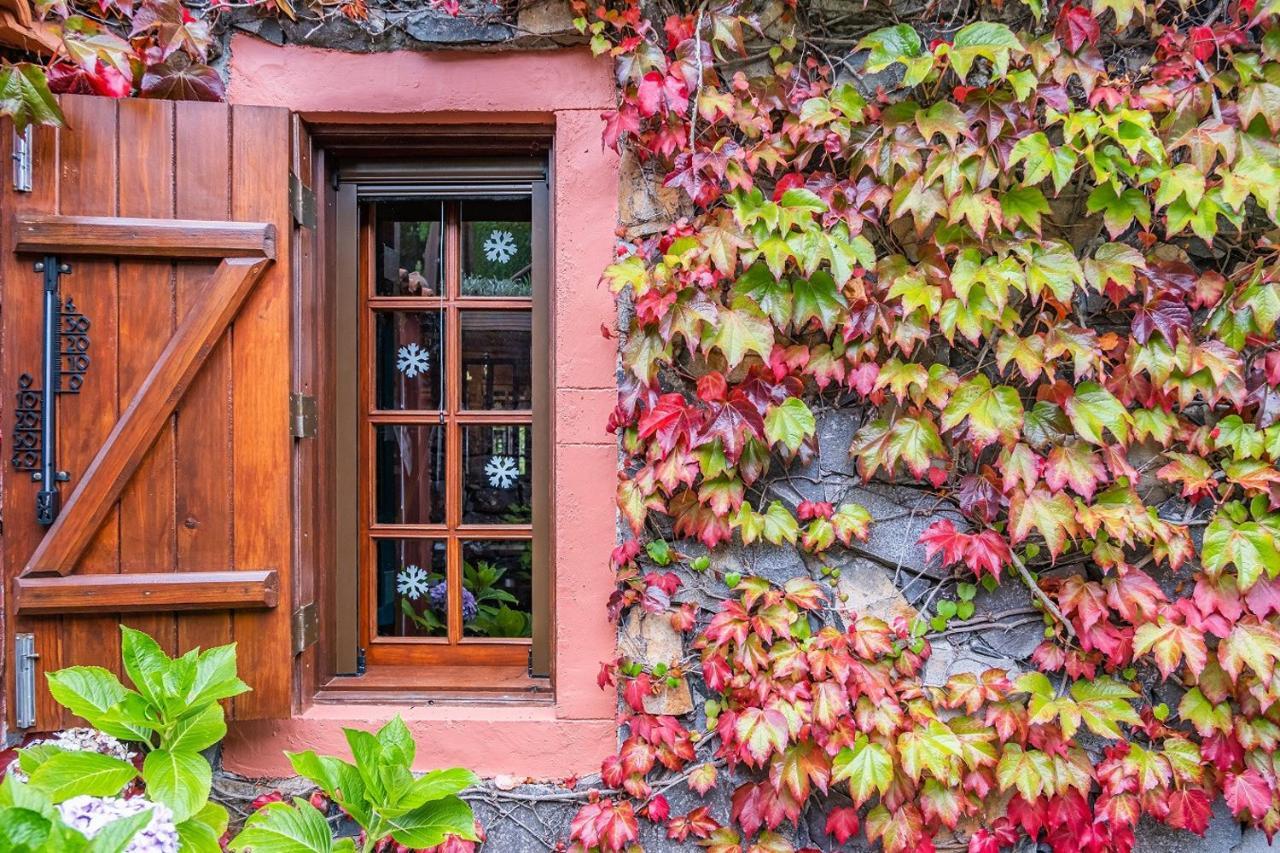 Villa Achada Da Mouca By Madeira Sun Travel Santana  Exteriér fotografie